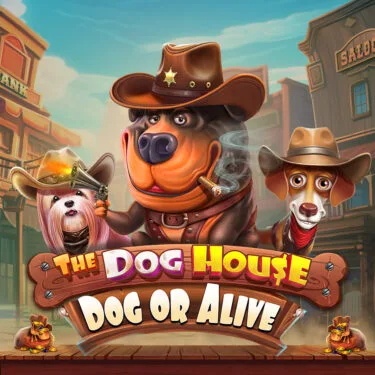 The Dog House - Dog or Alive